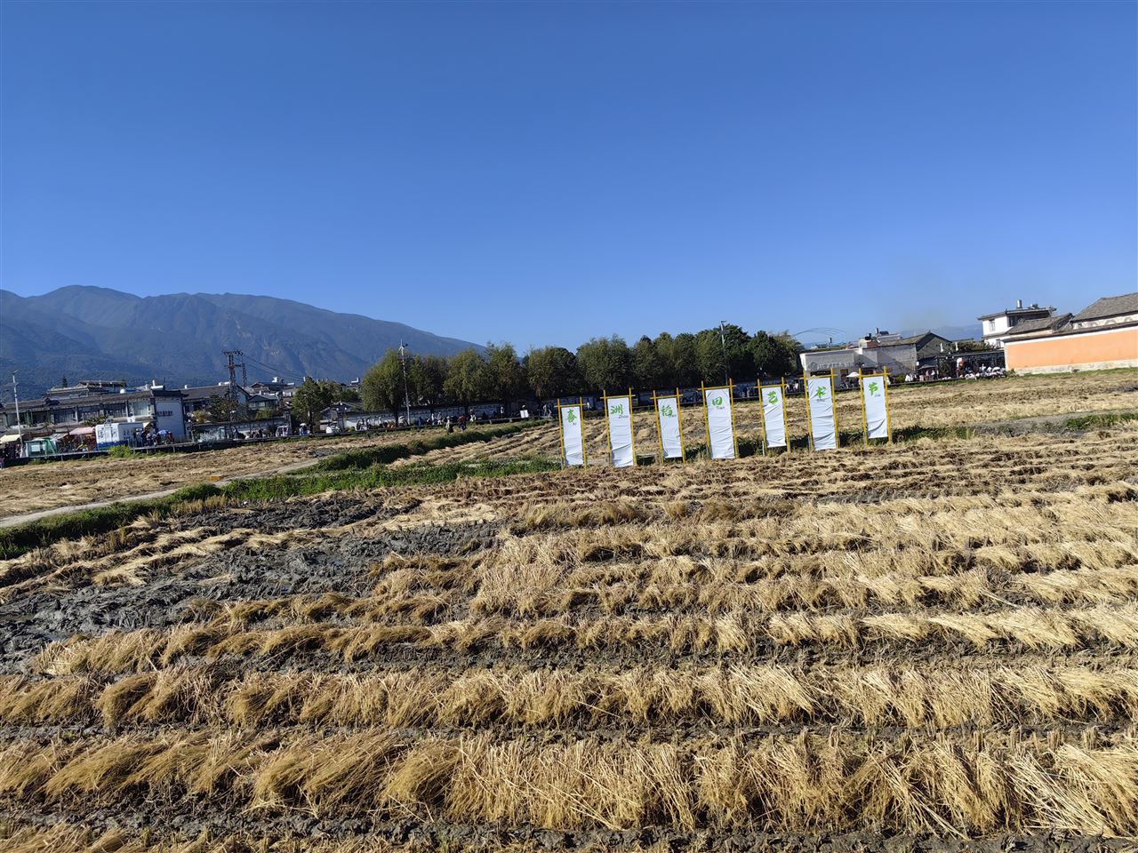 关于2026年第一批国家支持的农机推广鉴定结果的通报