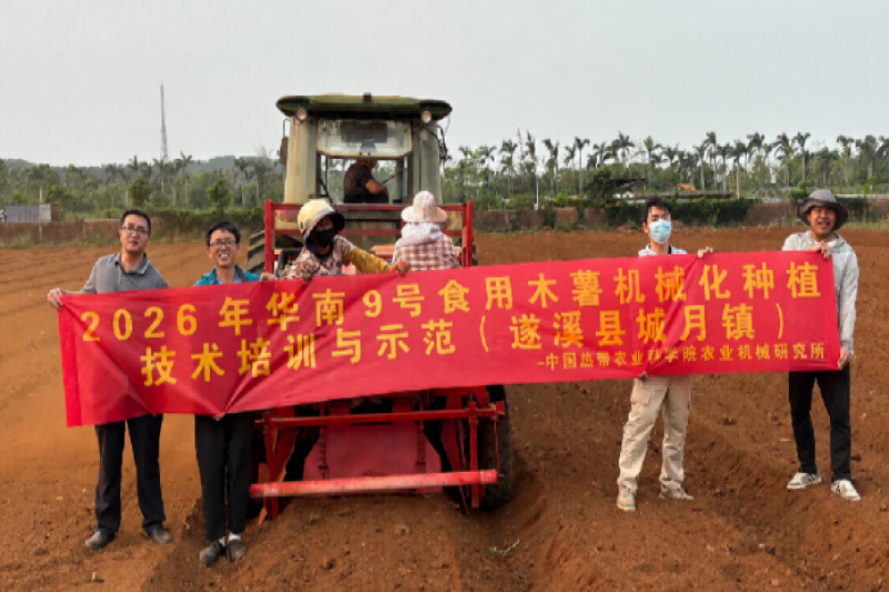 农机所专家赴遂溪县指导木薯机械化种植